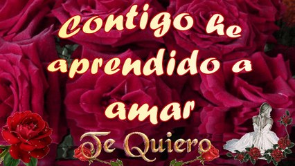 gracias amor te quiero