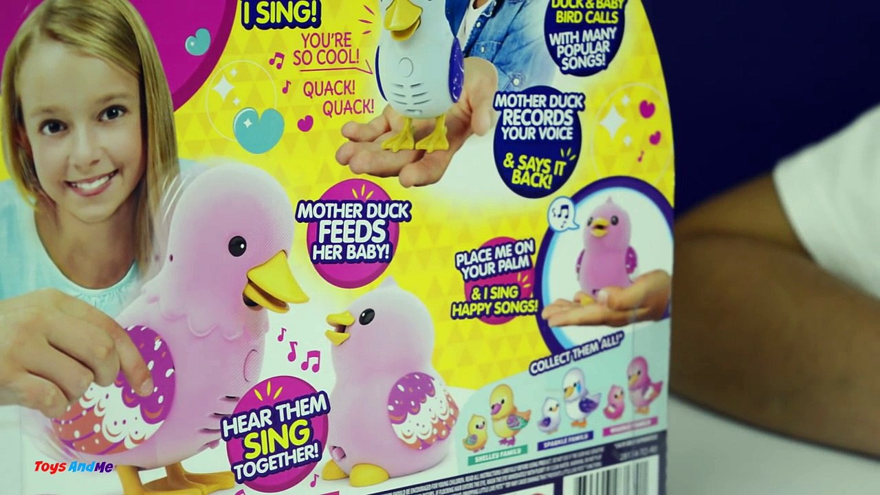 Little Live Pets Duck Mom & Baby - Unboxing 2 Chocolate Surprise Eggs + Shopkins Blind Bag
