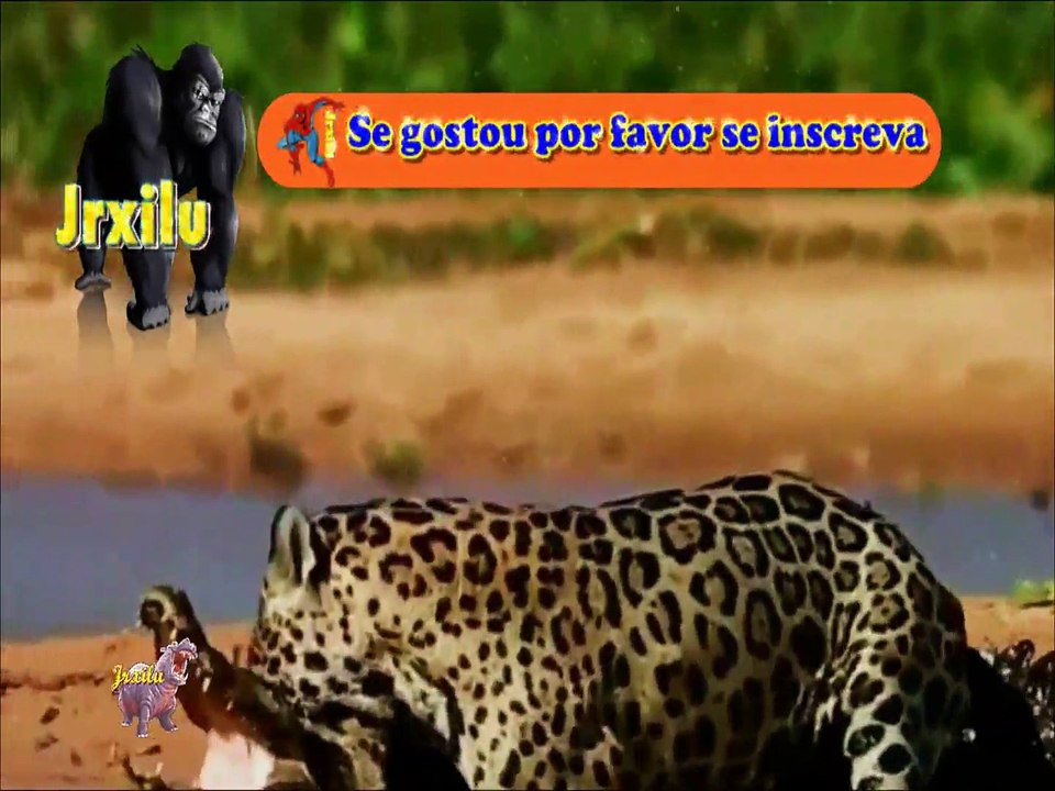 Incríveis Ataques de animais selvagens 781, Batalha de animais selvagens, Batalha animal, curiosidade animal,  Animais s