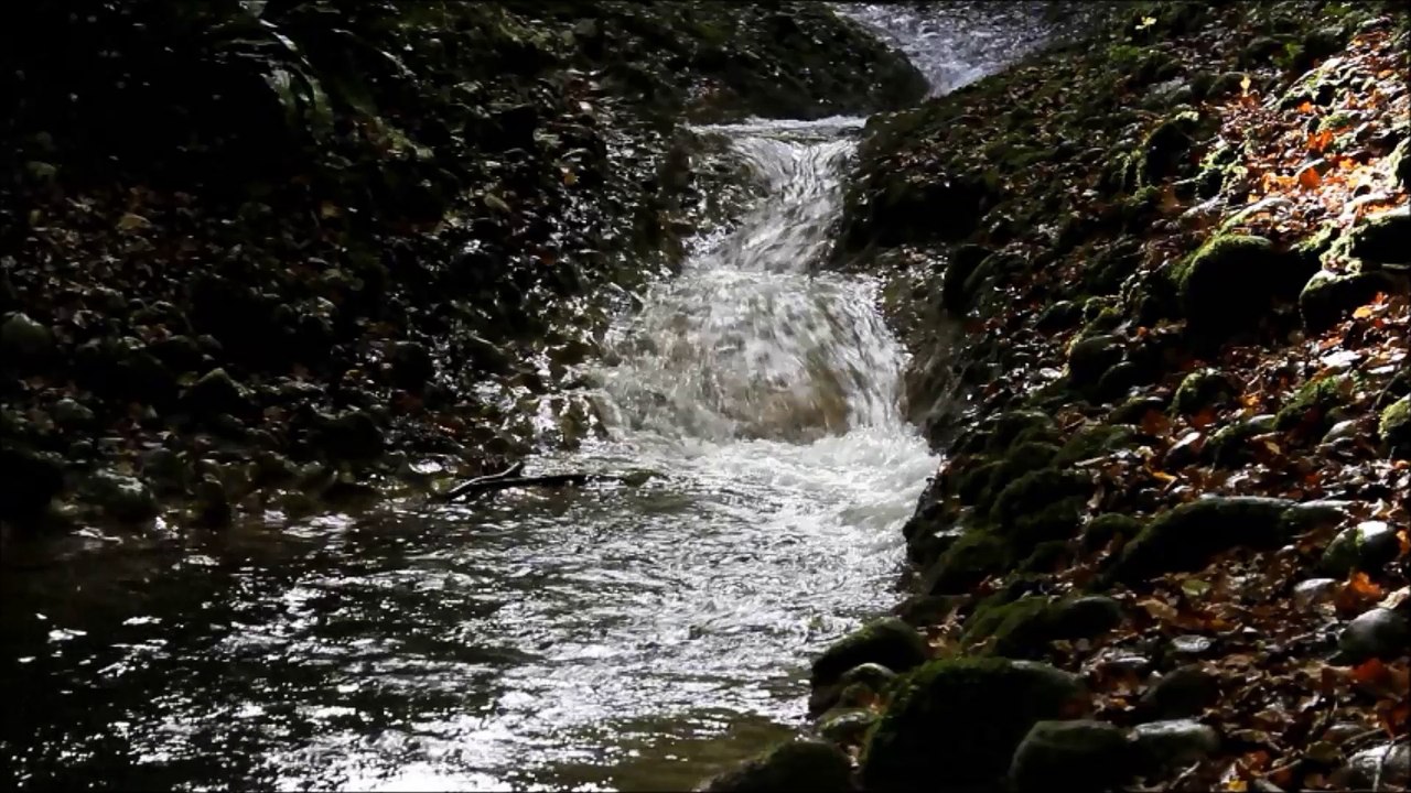 frayeres sur l'albarine 22 fevrier 2017