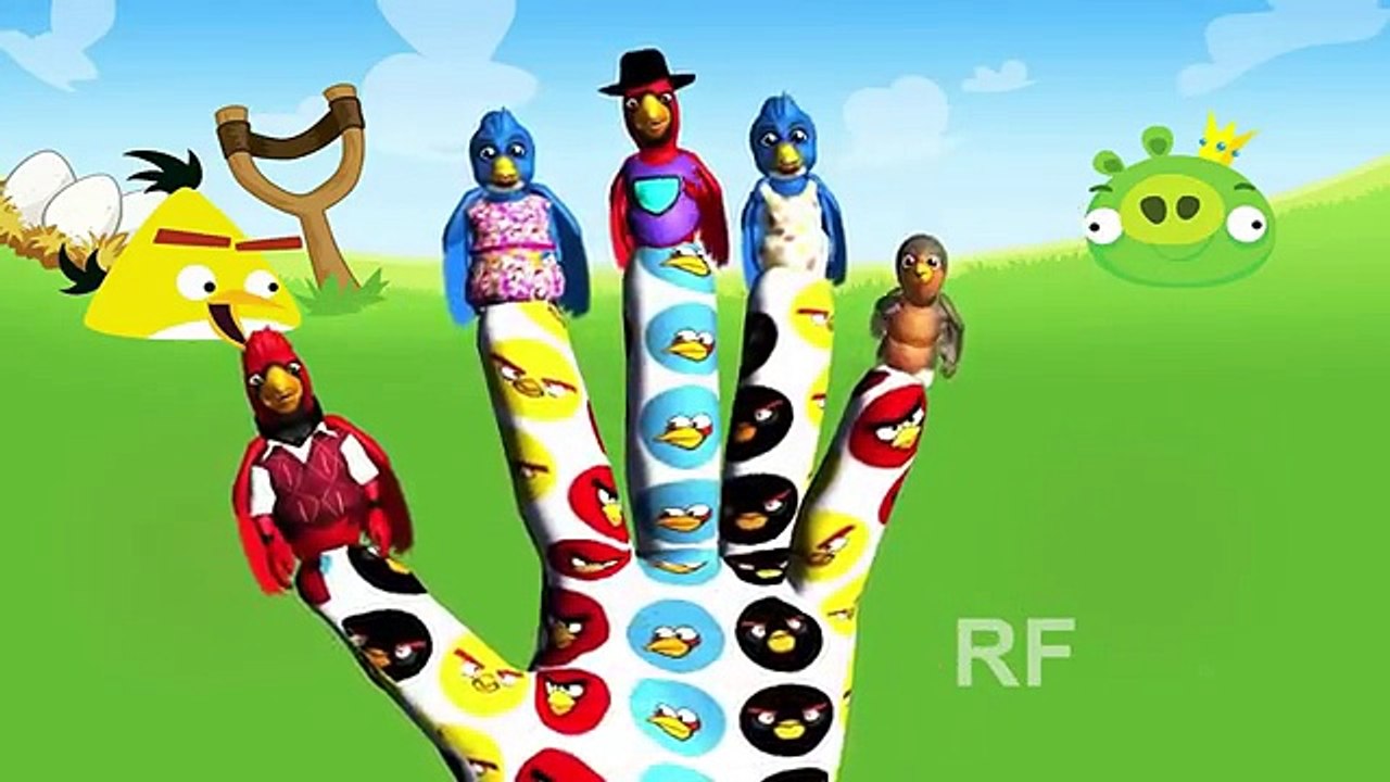 Peppa Angry Birds Finger Family Song - Kids Songs - Nursery Rhymes