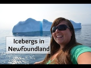Icebergs in Newfoundland
