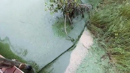 #NowOrNeverglades Movement Gains Momentum | The Orvis Company