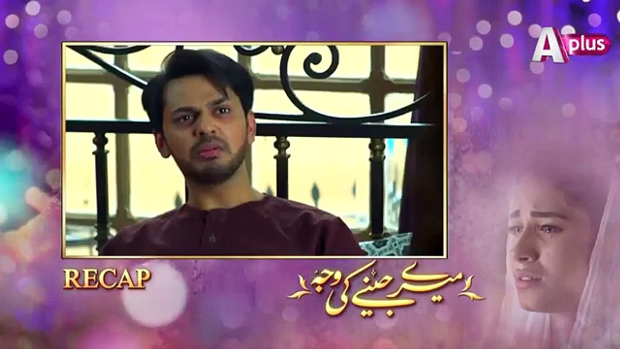 Meray Jeenay Ki Wajah - Episode 23