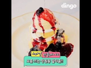 [스타일 핫플레이스]망원동 알랴줌