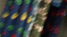 My Blog // Blog 1