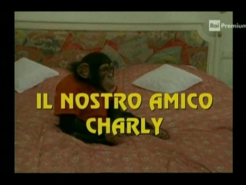 Il nostro amico Charly 4x01 - In vacanza con Ch...