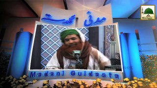 Chand Aur Suraj Girhan Maulana Ilyas Qadri Madani Guldasta 66
