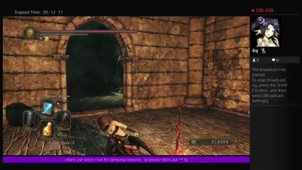 Dark Souls 2 Soul $ Farming ^^ (53)