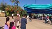 Seaworld Family Fun Trip Shamu World Water Park San Diego Zoo Balboa Park Kids Video FamilyToyReview
