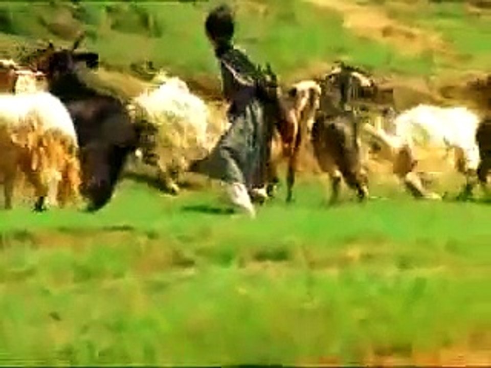 PAK ARMY SONG : " Jiyo-Meray-Janbaz "