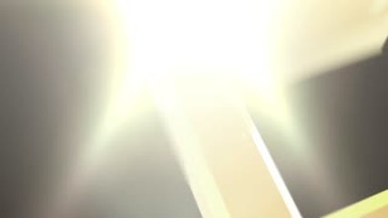 Golden Chef Australian Wild Abalone With Glutinous Rice