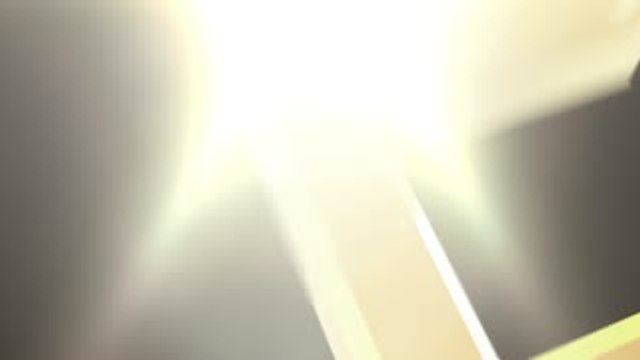 Fried Red Grouper Slices With Scallop Oyster Sauce