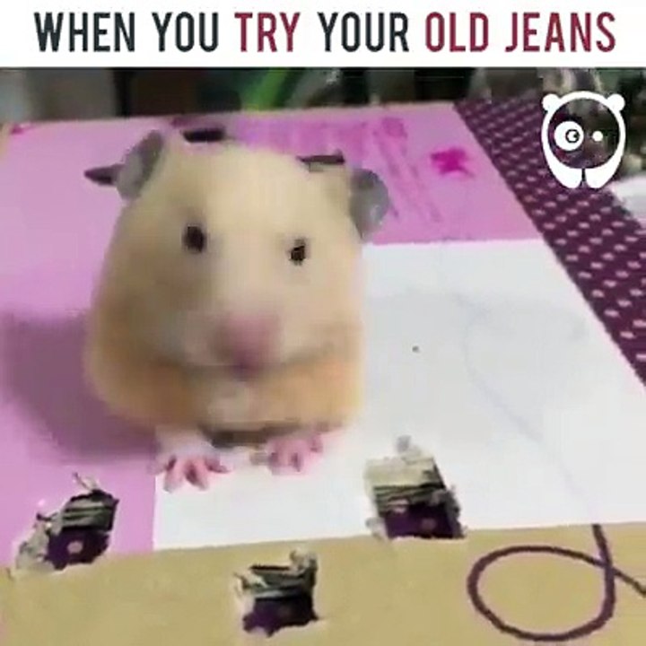 When you try your old jeans