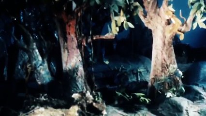 Đảo Hoang - Phim Hoạt Hình Cũ Việt Nam