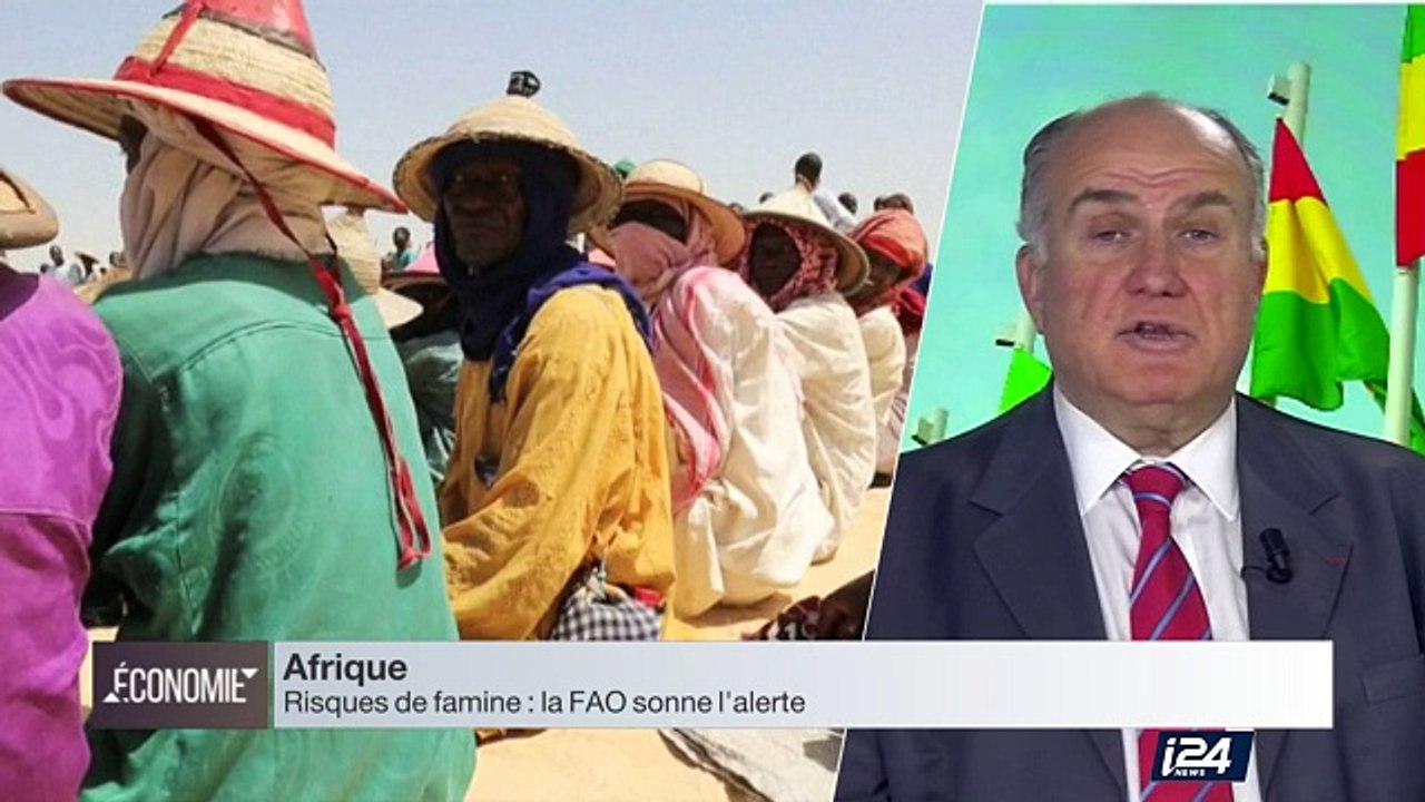 Perspective Afrique : la menace d'une famine resurgit en Afrique de l'Ouest.