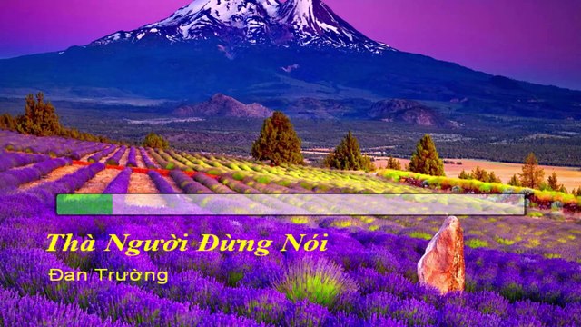 Thà Người Đừng Nói Karaoke - Tone Thấp (Đan Trường )