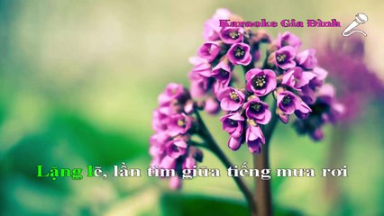 Thả Vào Mưa Karaoke - Tone Thấp (Trung Quân)