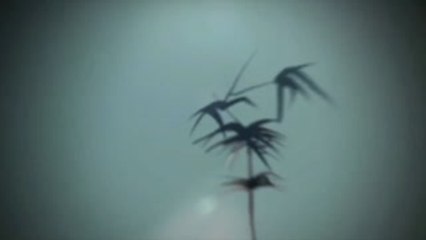 Teriyaki Salmon And Tofu Salad