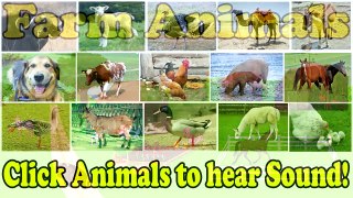 Farm Animals For Children with Names and Sound | Kids Educational and Learning Video