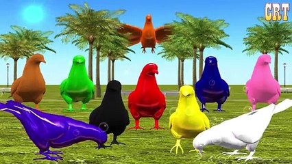 Colourful Dinosaurs Colour Song || Nursery Rhymes Compilation Cartoon Kids Collection