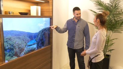 Panasonic presenta una pantalla de televisor invisible