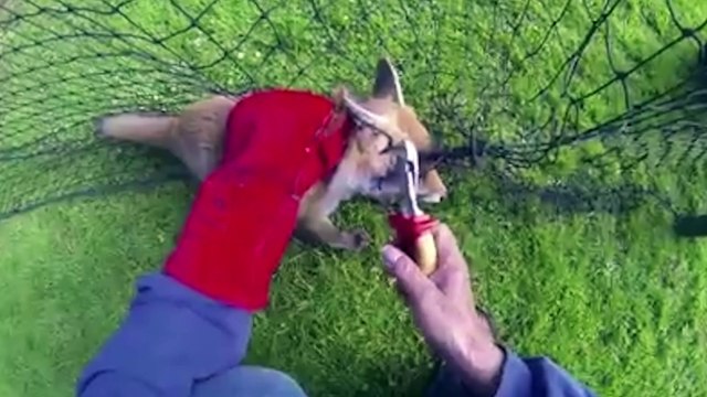 Verdaderos superhéroes