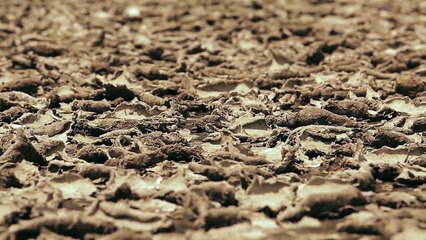 「一緒にしましょう」イ・ミンホ 함께해요 PROMIZ170222