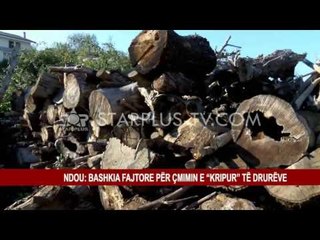 NDOU: BASHKIA FAJTORE PËR ÇMIMIN E “KRIPUR” TË DRURËVE