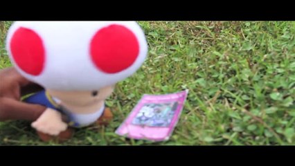 SML Movie: Bowser Junior Needs Glasses!