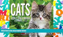 Best PDF  Cats 2017 Mini Day-to-Day Calendar Trial Ebook