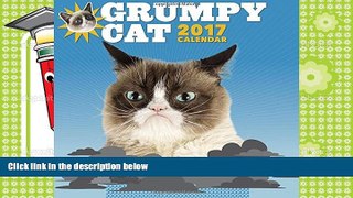 PDF [Free] Download  Grumpy Cat 2017 Wall Calendar Read Online