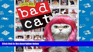 Best PDF  Bad Cat Wall Calendar 2017 Book Online