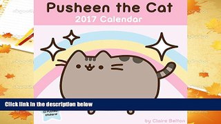 Best PDF  Pusheen the Cat 2017 Wall Calendar Book Online