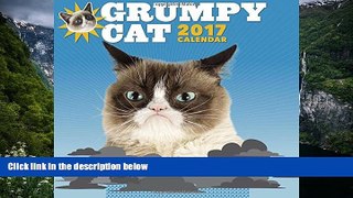 Best PDF  Grumpy Cat 2017 Wall Calendar Read Online