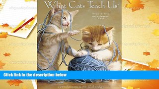 PDF [Free] Download  What Cats Teach Us 2017 Engagement Calendar Trial Ebook