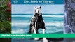 PDF [Download] Lesley Harrison - Spirit of Horses Wall Calendar (2015) For Ipad