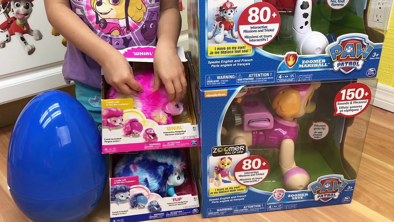 GIANT PAW PATROL TOYS SURPRISE EGG Opening PawPatrol Marshall & Skye Zoomers Kinder Egg Surprises-rr3bY397REU