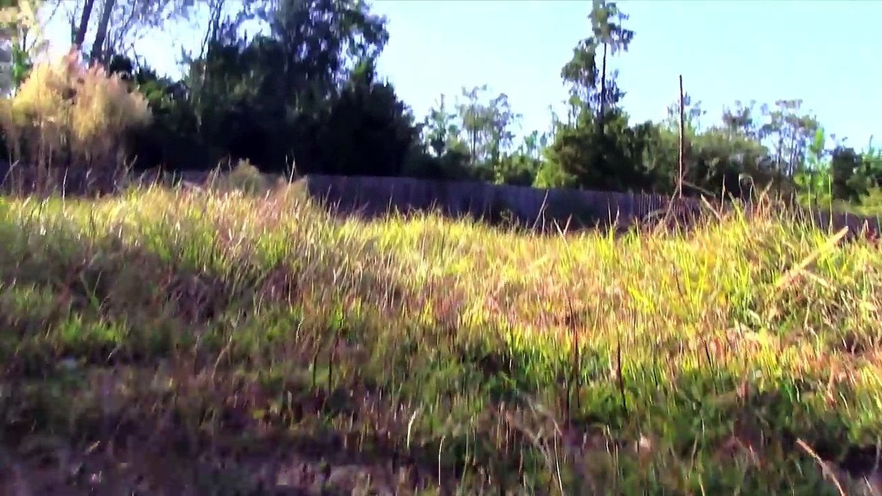 Shrimpo Hunter Episode 5