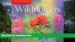 Best PDF  Audubon Wildflowers Wall Calendar 2016 For Ipad