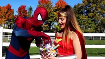 Frozen Elsa & Spiderman CANDY CHALLENGE! w  Joker Anna Belle Maleficent Wonder Woman! Superhero Fun