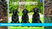 PDF [Free] Download  Flat-Coated Retrievers 2017 Square Book Online