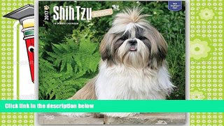 Best PDF  Shih Tzu Puppies 2017 Square (Multilingual Edition) Read Online