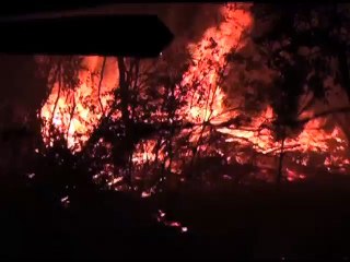দাবানলে পুড়ছে চিলির হাজার হাজার হেক্টর জমি