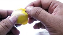 Play Doh Clay Modeling of Hawaiian Threadfin Butterfly Fish Kikakapu | Play Doh Fish Model