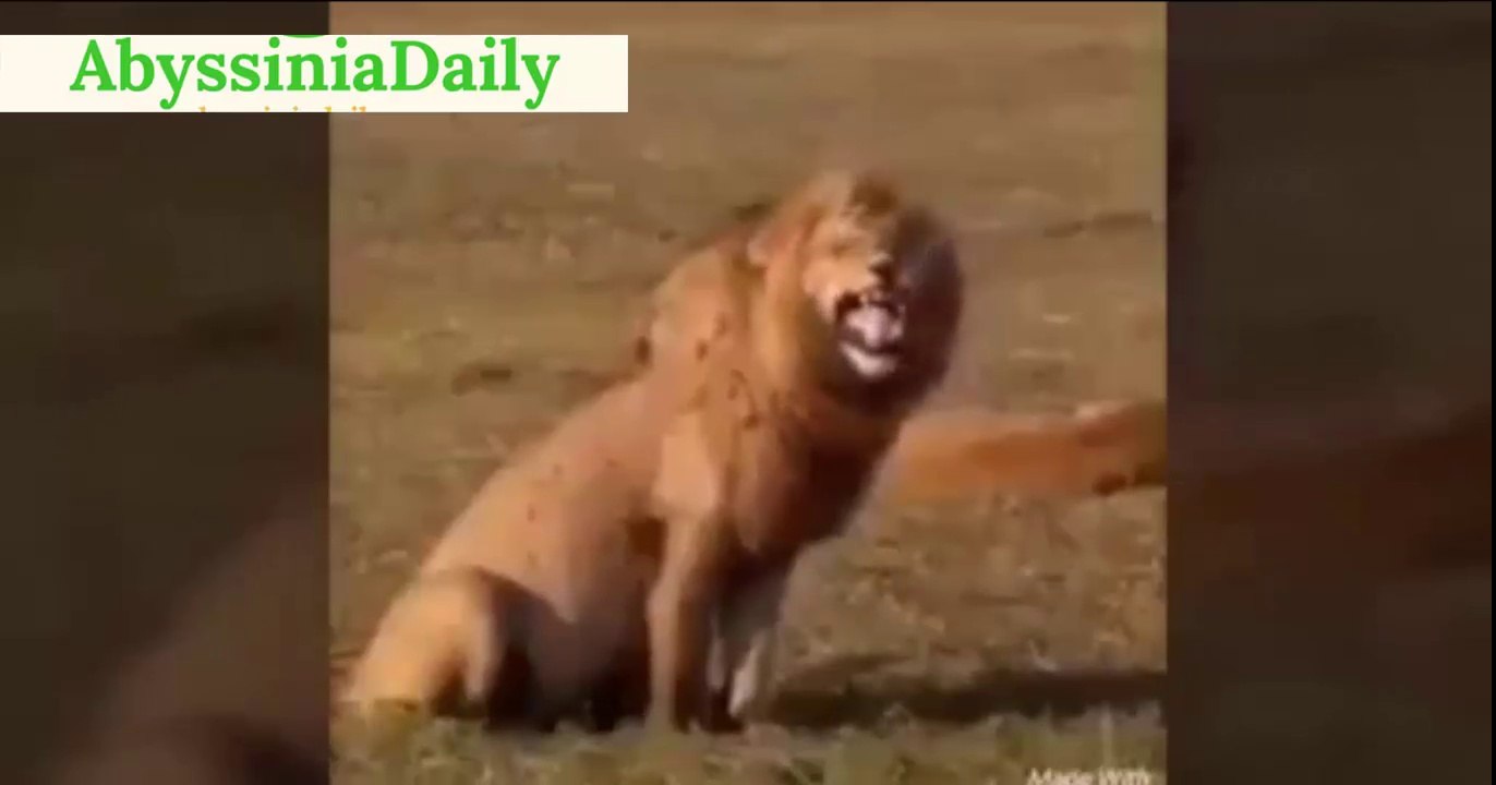 Farting Revenge