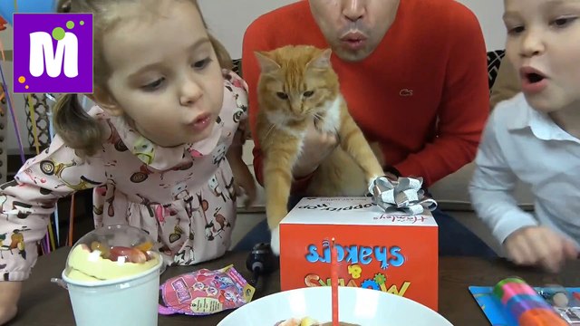 День Рождения Кошечки Мурки 5 этажный дом и Кролик в подарок Макс и Катя съели Киндер для животных