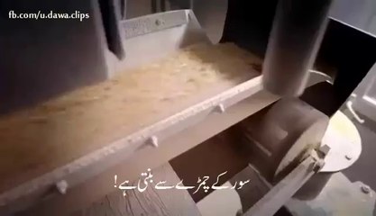 dekho hostale main kya hota hai