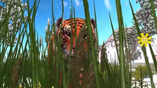 Animals Fighting Video Compilation | Black Panther Attack Tiger | Python Vs Crocodile Chee