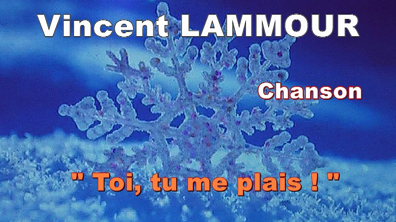 Toi tu me plais Chanson Vincent LAMMOUR